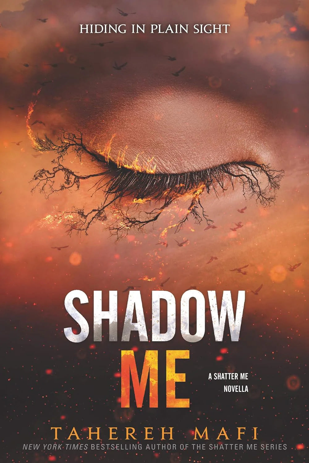 Find Me byTahereh Mafi