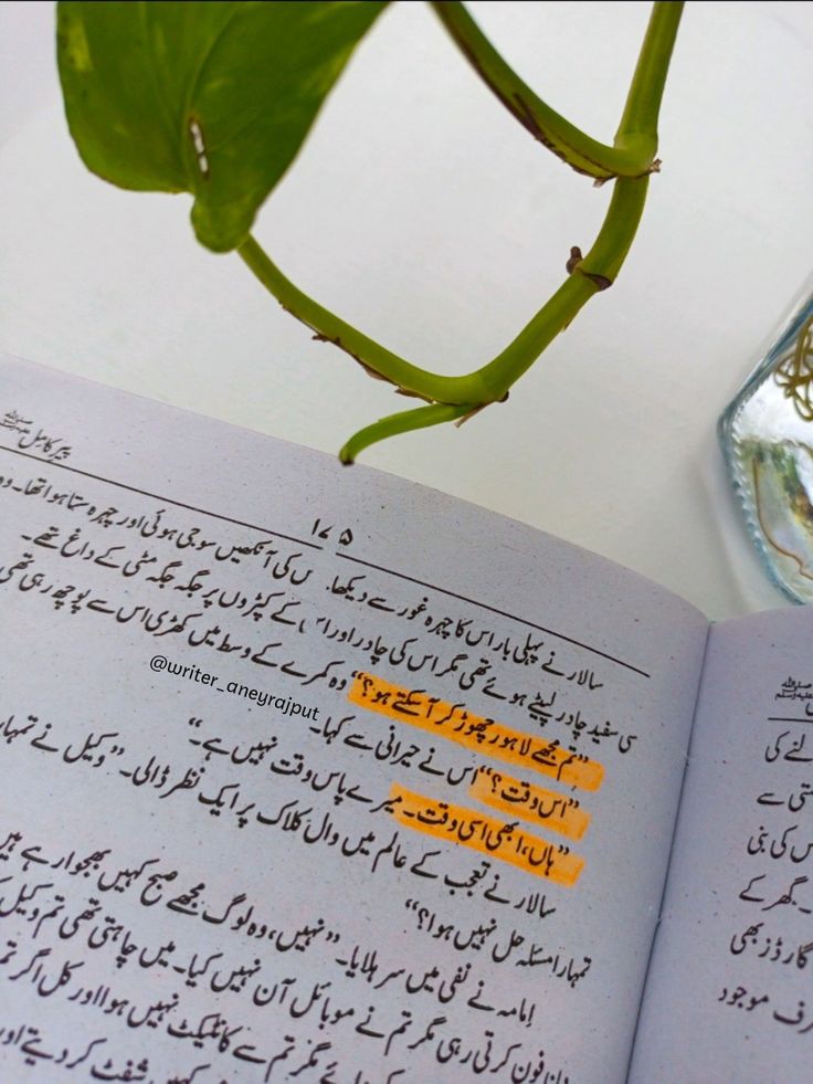 Urdu Peer e Kamil پیر کامل