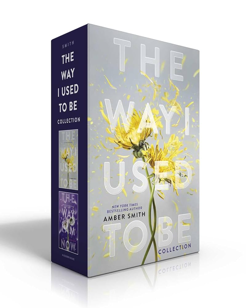 The Way I Used to Be by Amber Smith