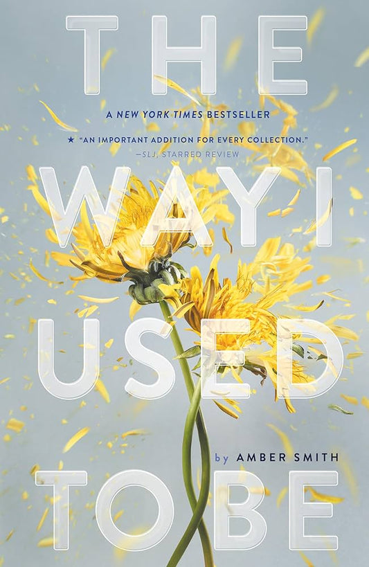 The Way I Used to Be by Amber Smith