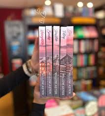 Landmark Mountain (5 Book Set) by Willow Aster